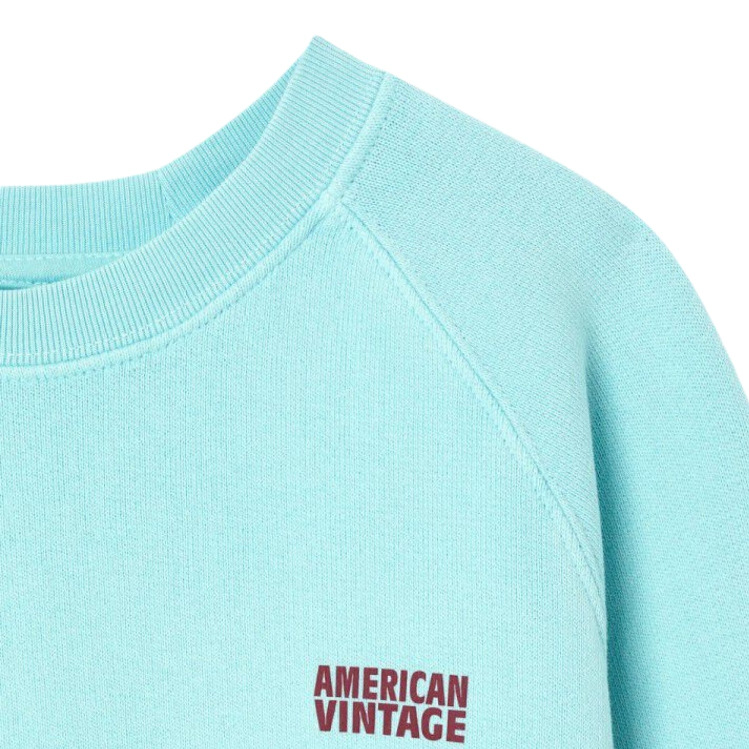 Izubird Sweatshirt | Vintage Glacier
