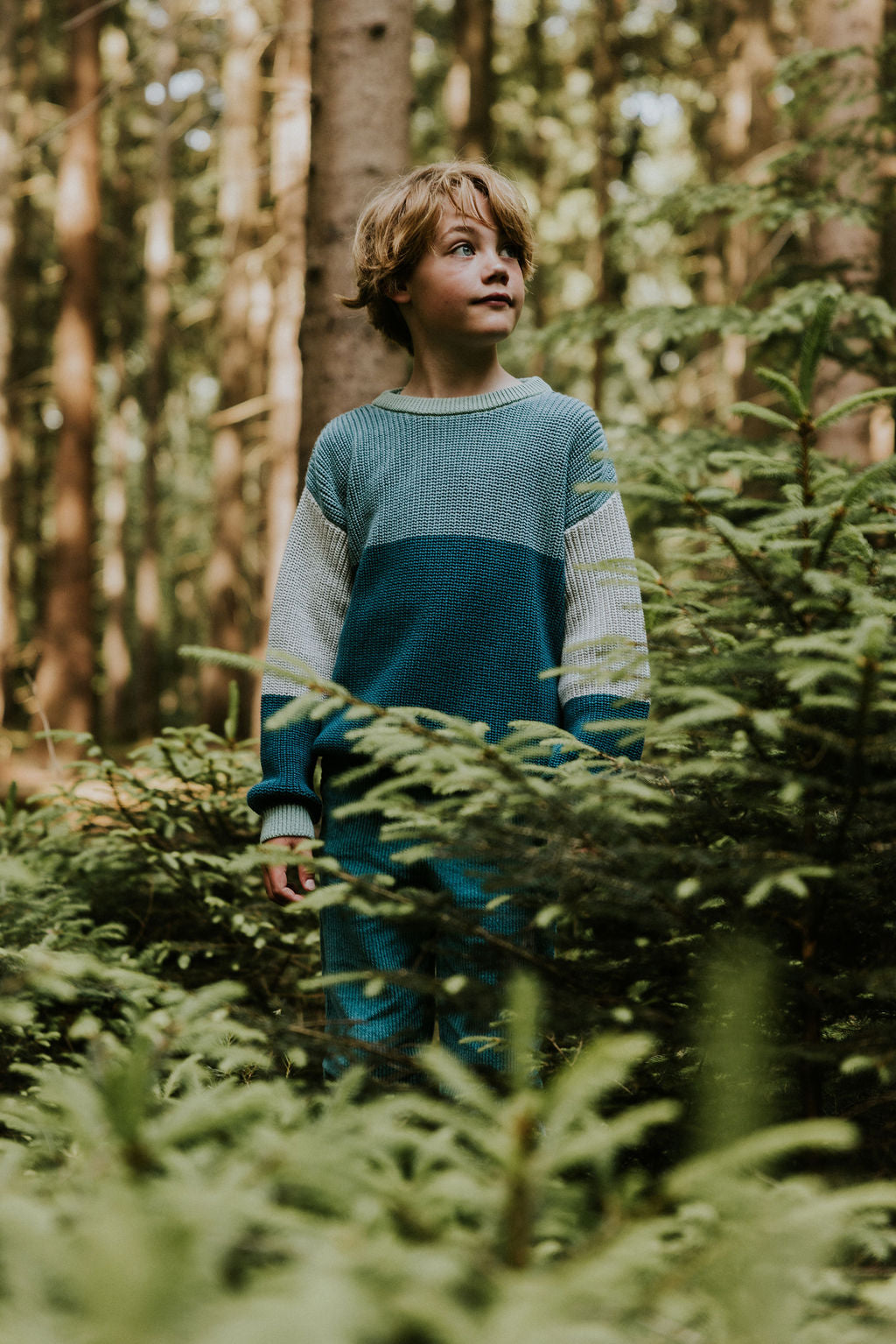Color Block Sweater | Ton Sur Ton