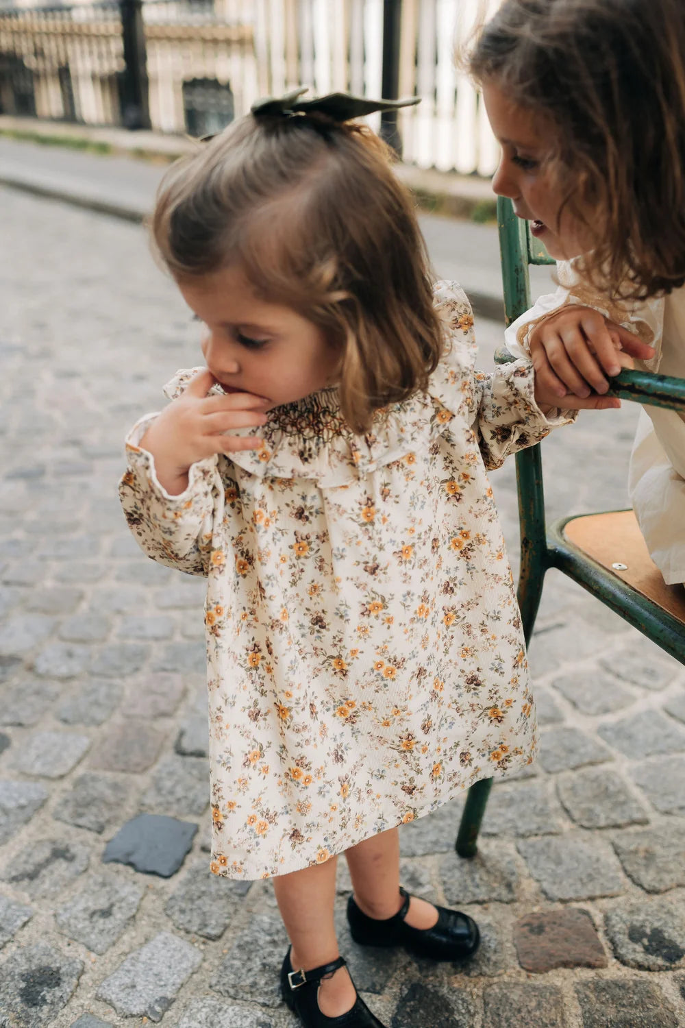 Mary Dress | Floral Velvet