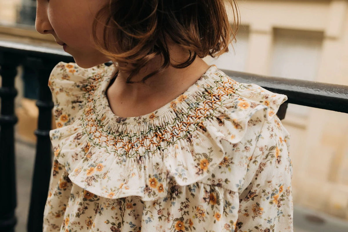 Mary Dress | Floral Velvet