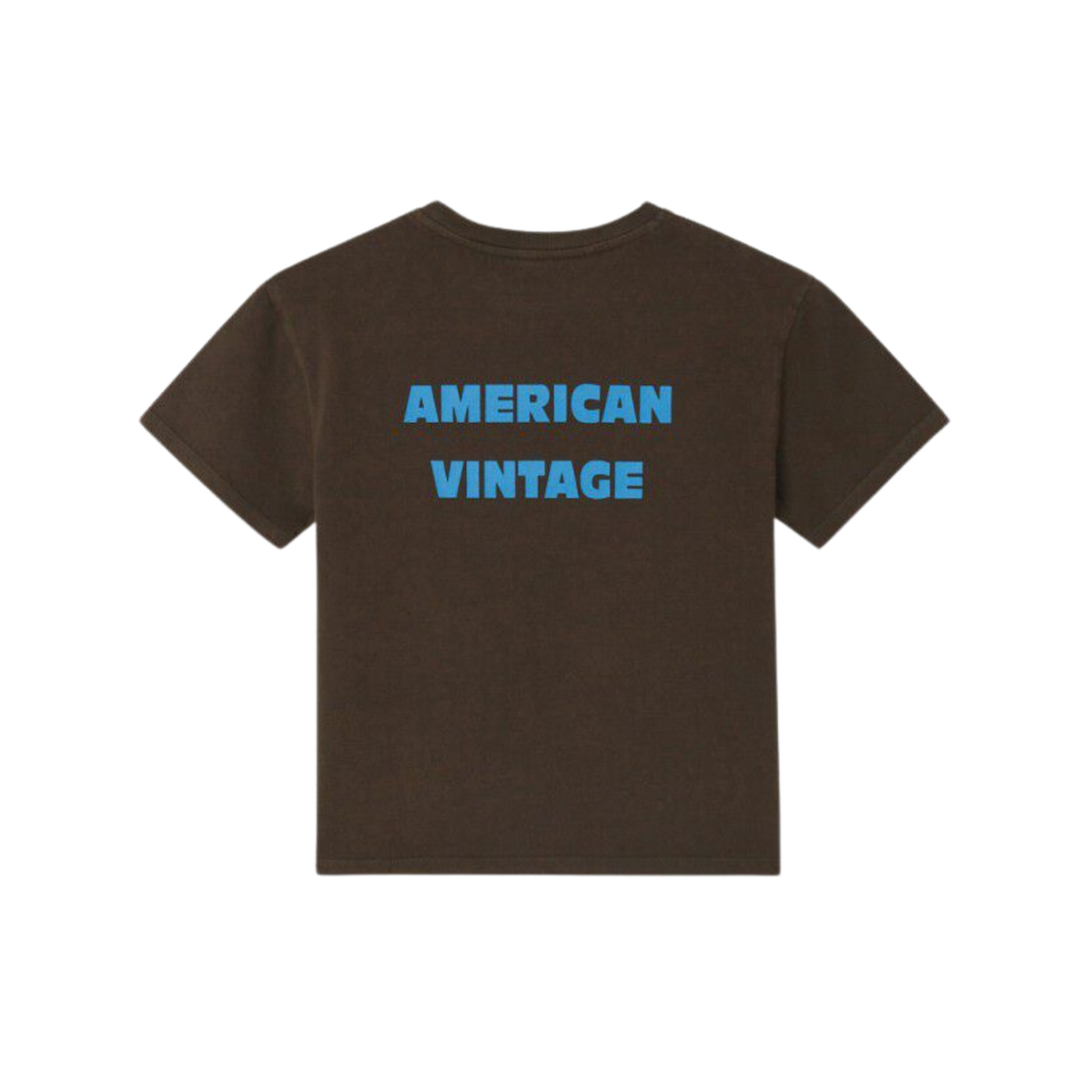 Fizvalley T-shirt | Vintage Choco