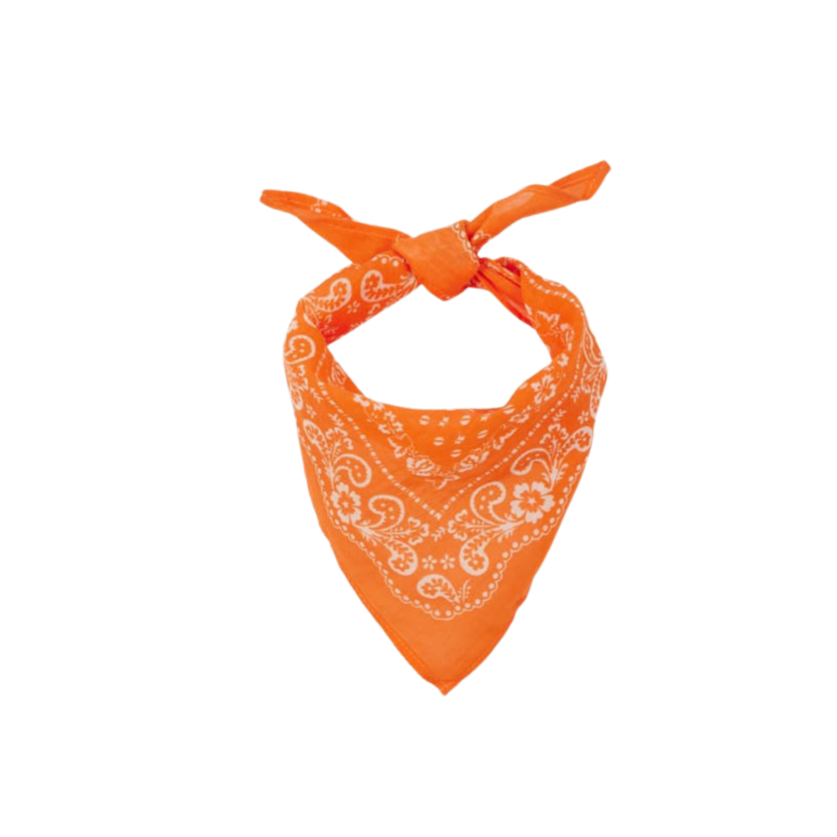 Bandana Bib | Orange