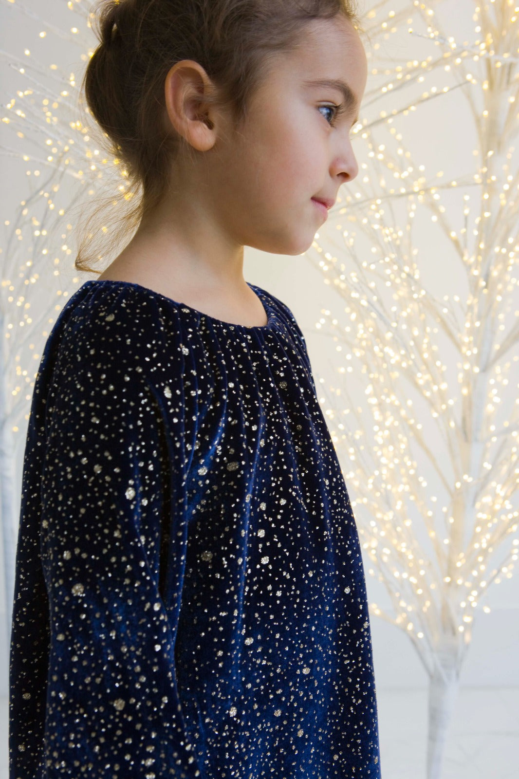 Diamante Velvet Dress | Blue