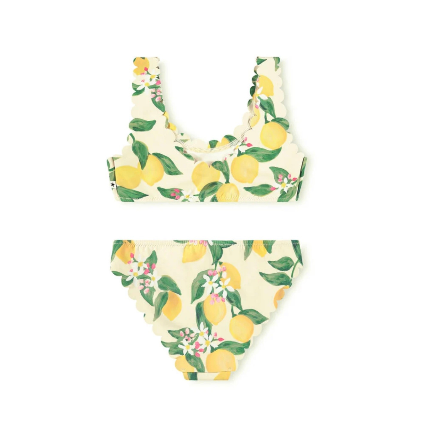 Nolina Bikini | Citrus