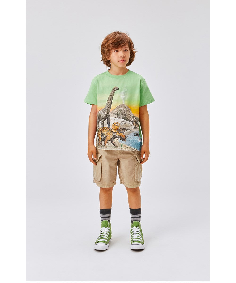 Argod Cargo Shorts | Rock