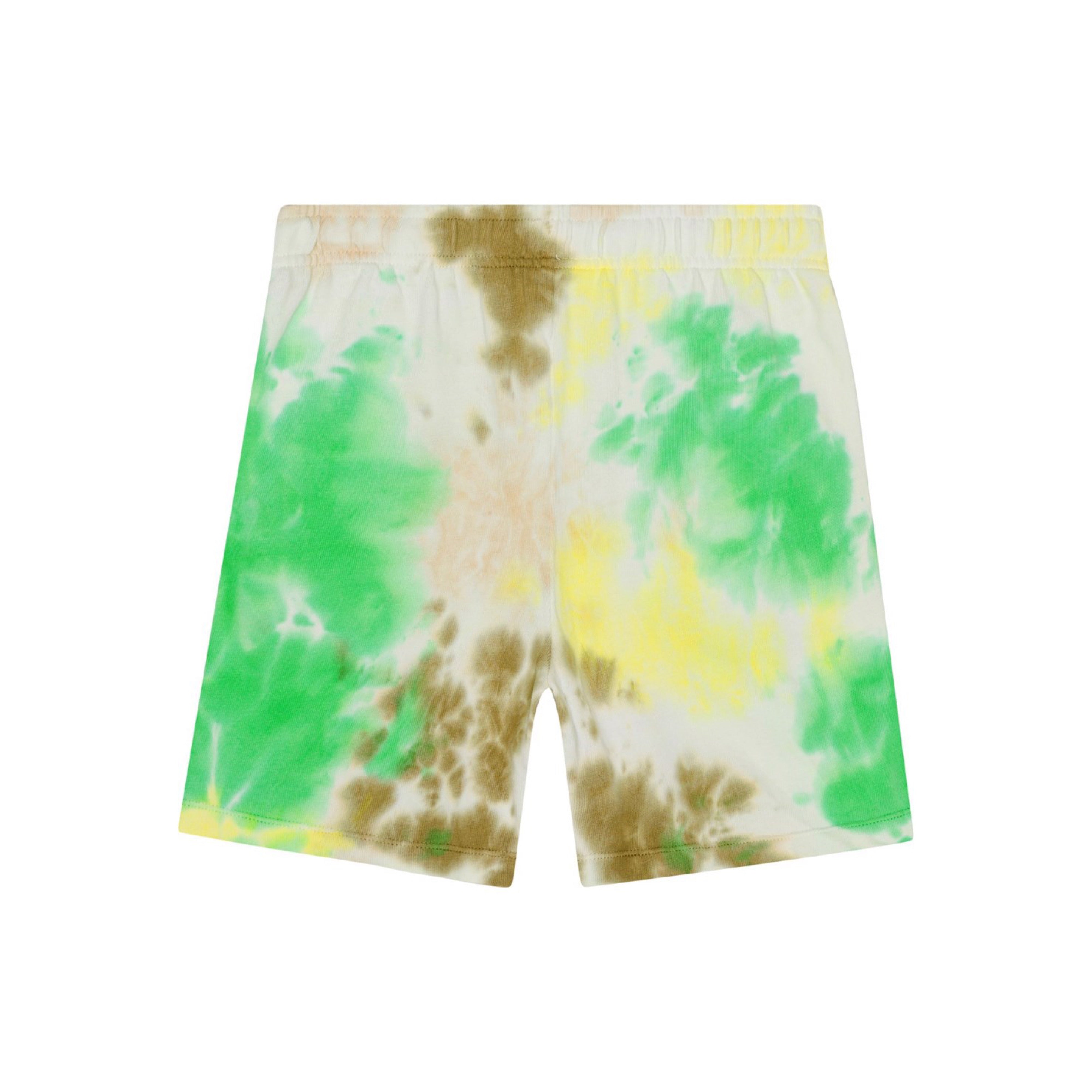 Amil Sweat Shorts | Garden Dye