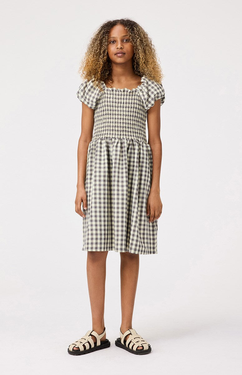 Cherisla Dress | Sun Check