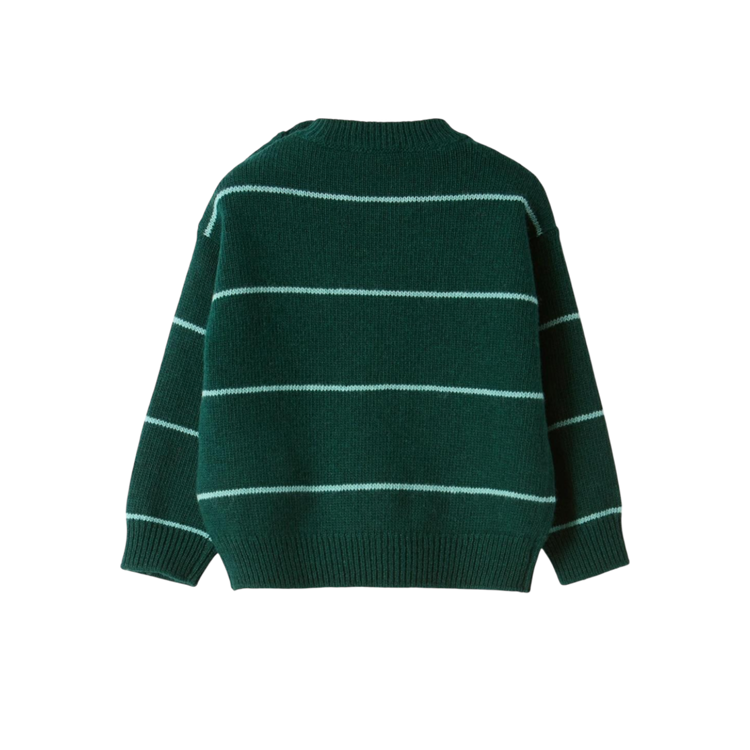 Crew Neck Sweater | Green Aloe/Turquoise
