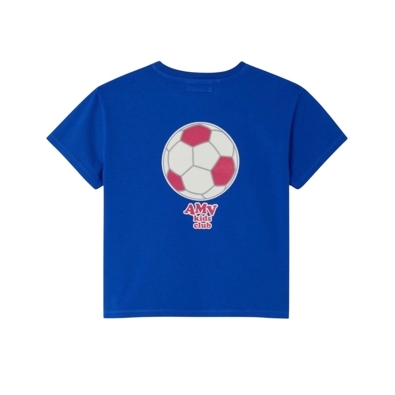 Fizvalley T-Shirt | Vintage Indigo