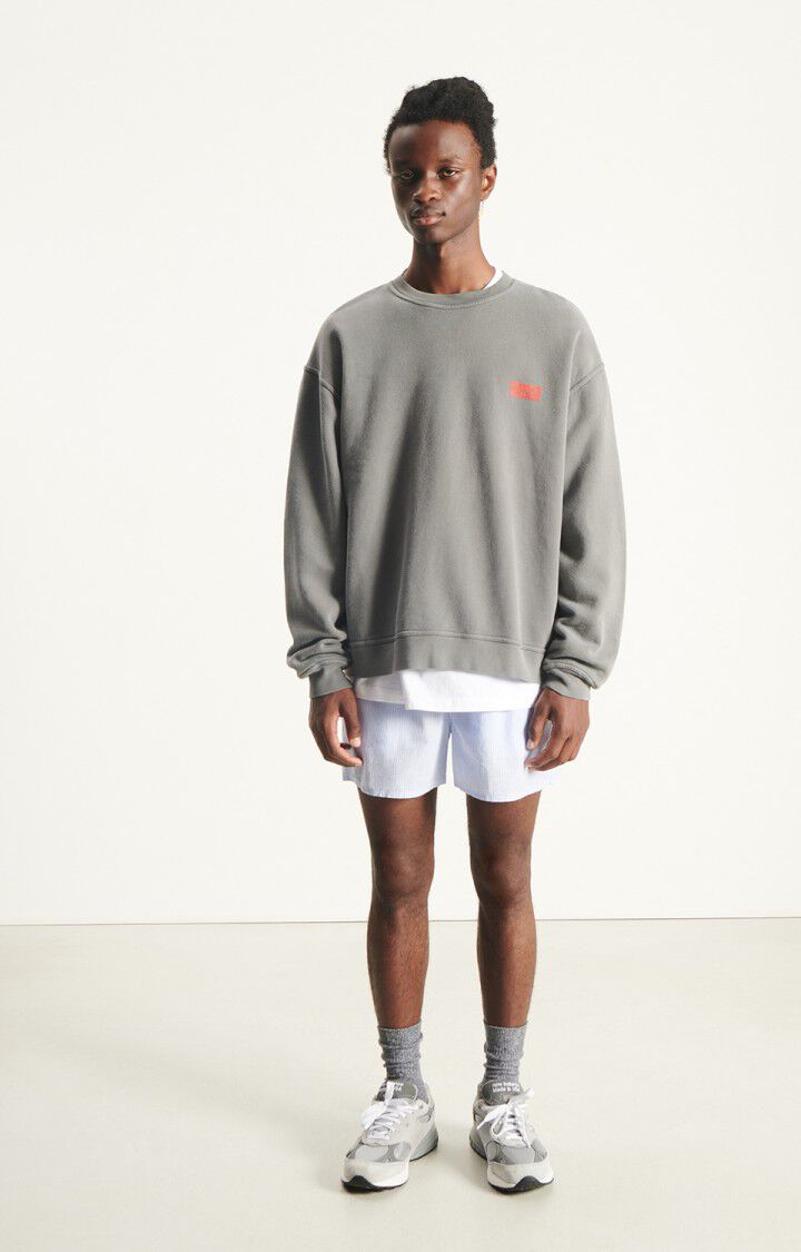 Mens Plizzy Sweatshirt | Vintage Ash