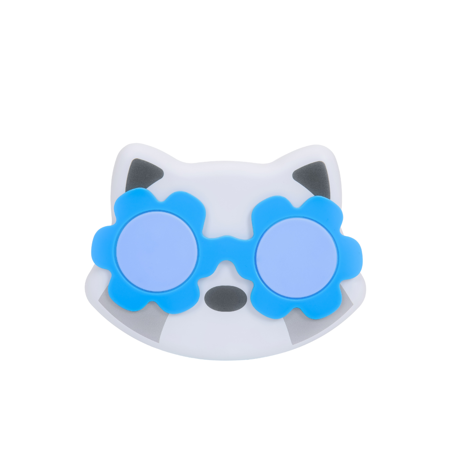 Lunchbox With Glasses | Raccoon