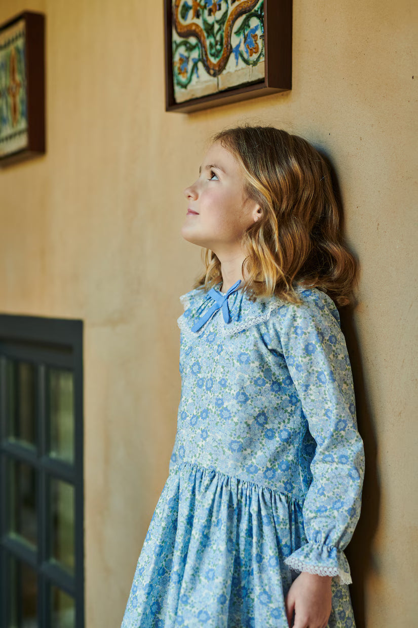 Maribela Drop Waist Dress | Blue Floral