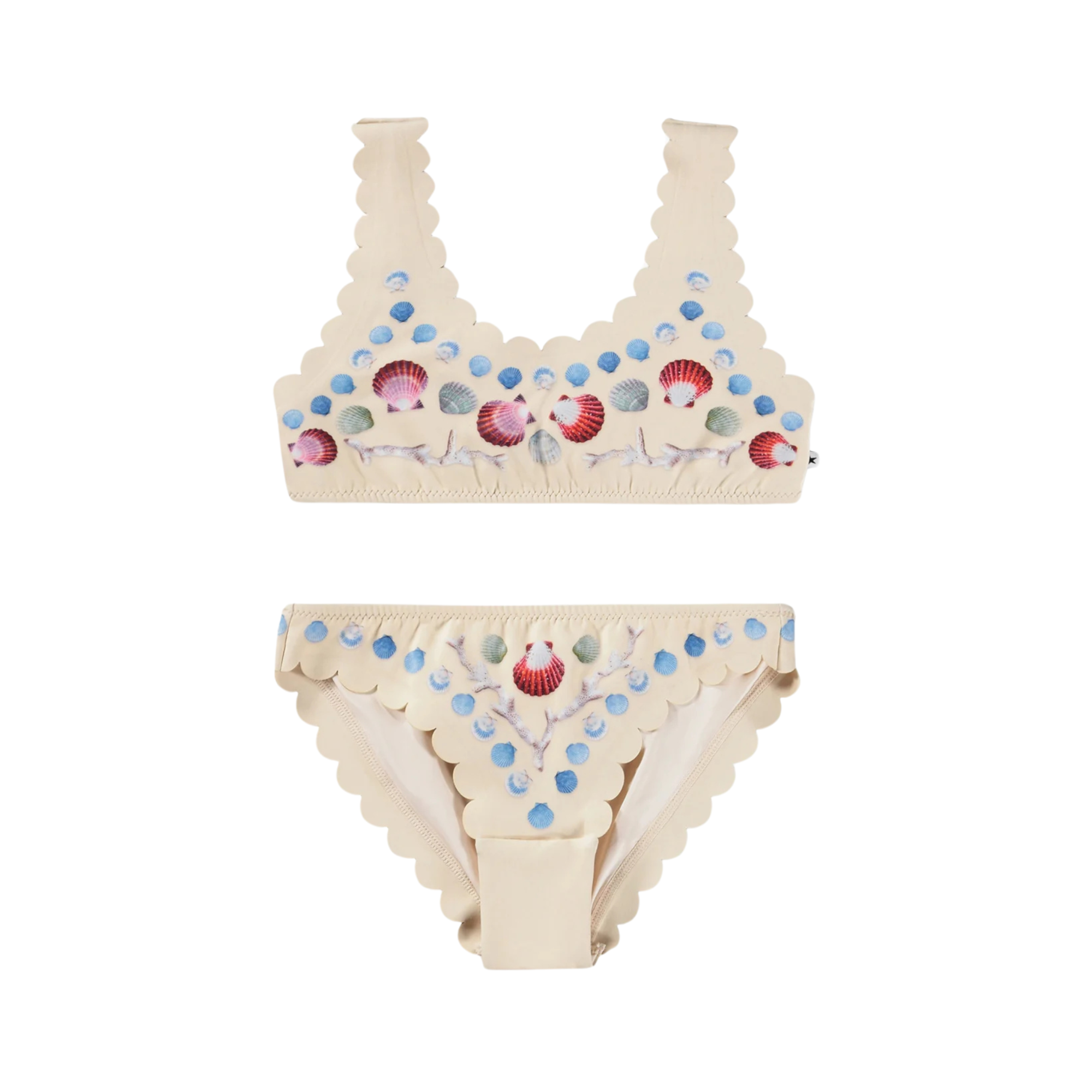 Nolina Bikini | Sea Shell Deco