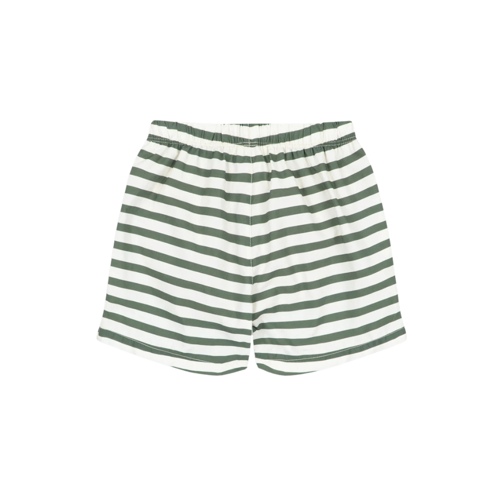 Asnou Swim Shorts | Stripe Verti