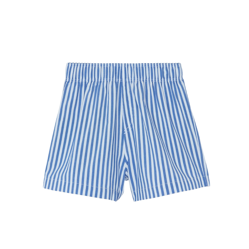 Striped Swim Trunks | Indigo
