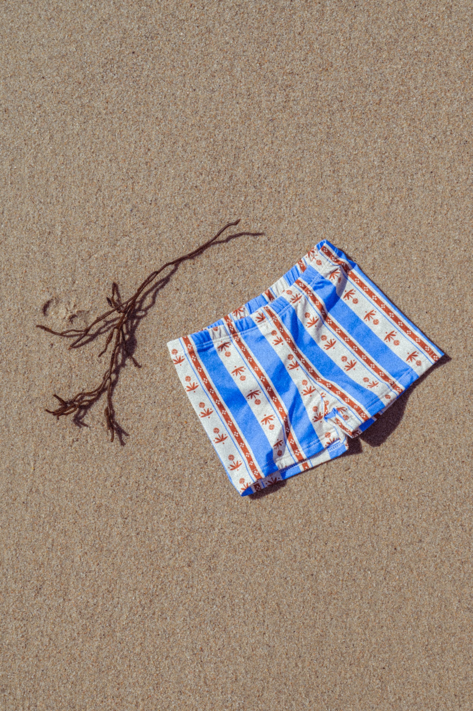 Sena Swim Shorts