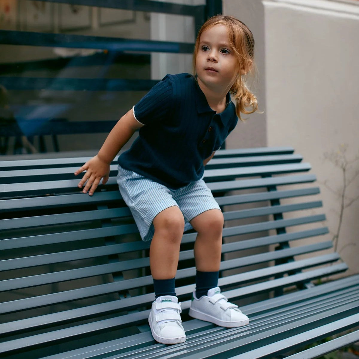 Rib Knitted Polo | Navy/Cream