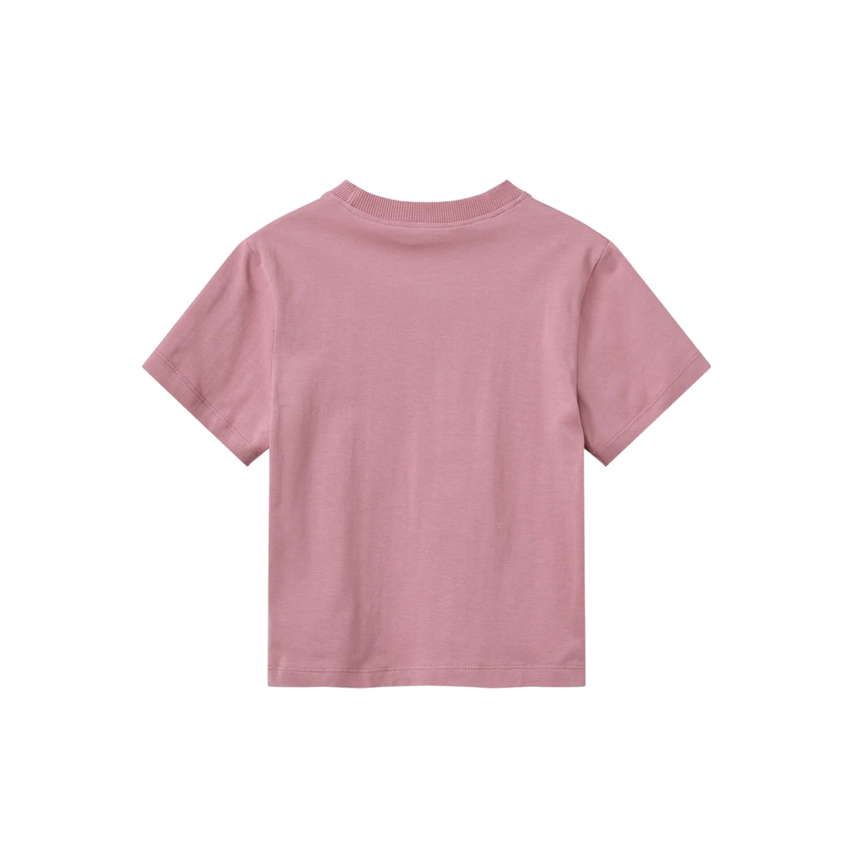 Embroidered T-shirt | Winter Rose