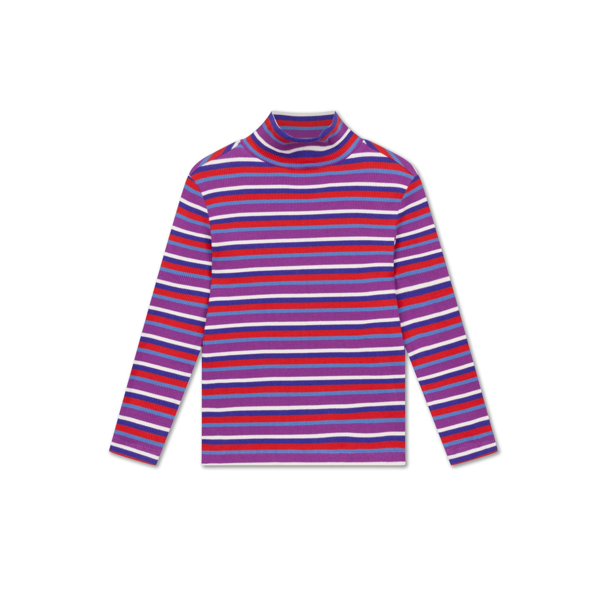 Turtle Neck | Multi Color Stripe