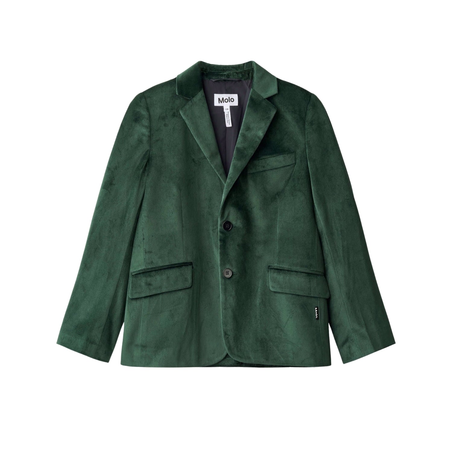 Hieronymus Blazer | Taxus