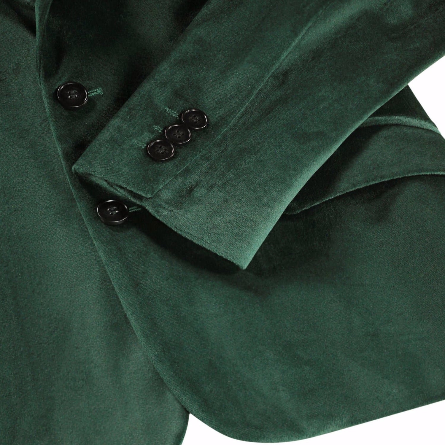 Hieronymus Blazer | Taxus