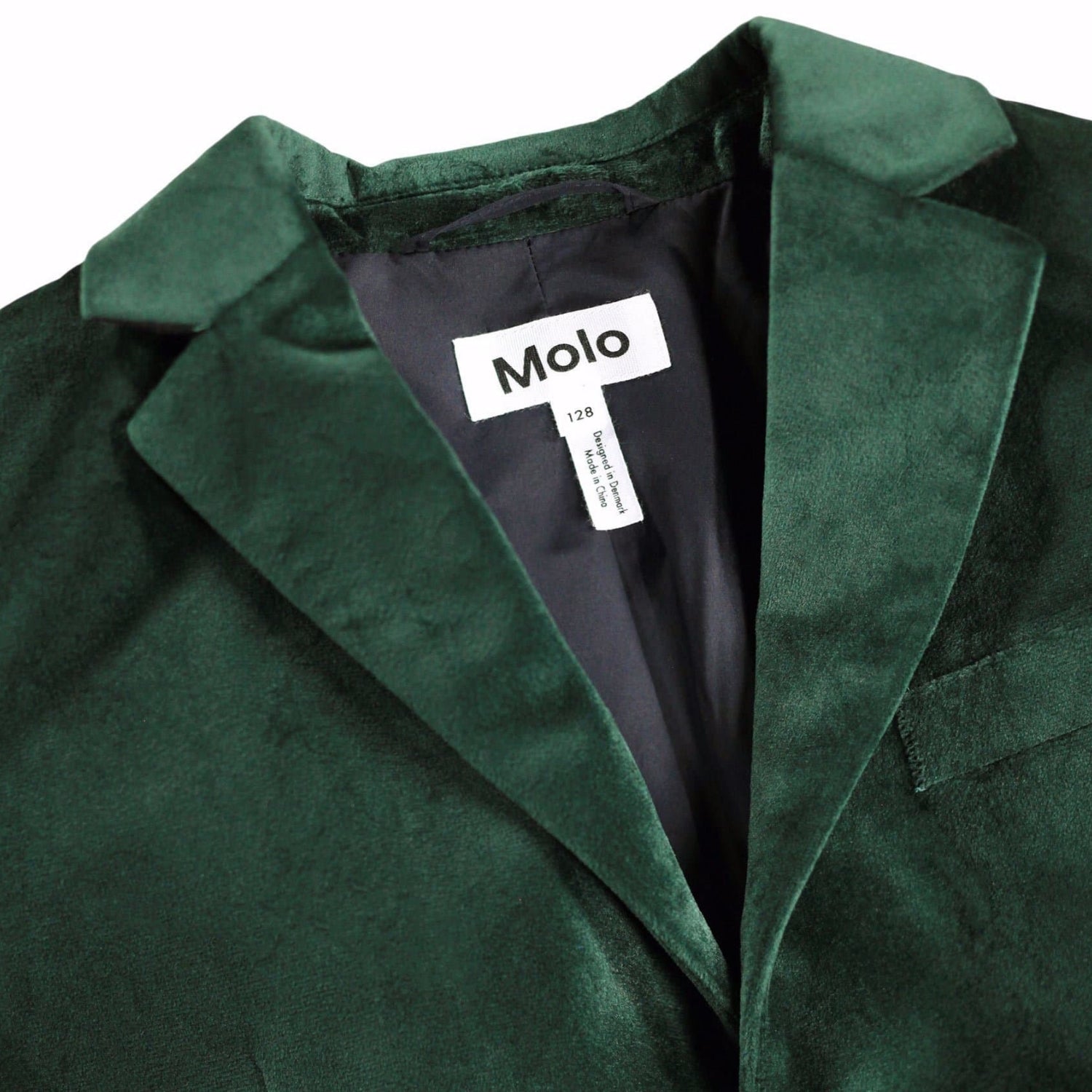 Hieronymus Blazer | Taxus