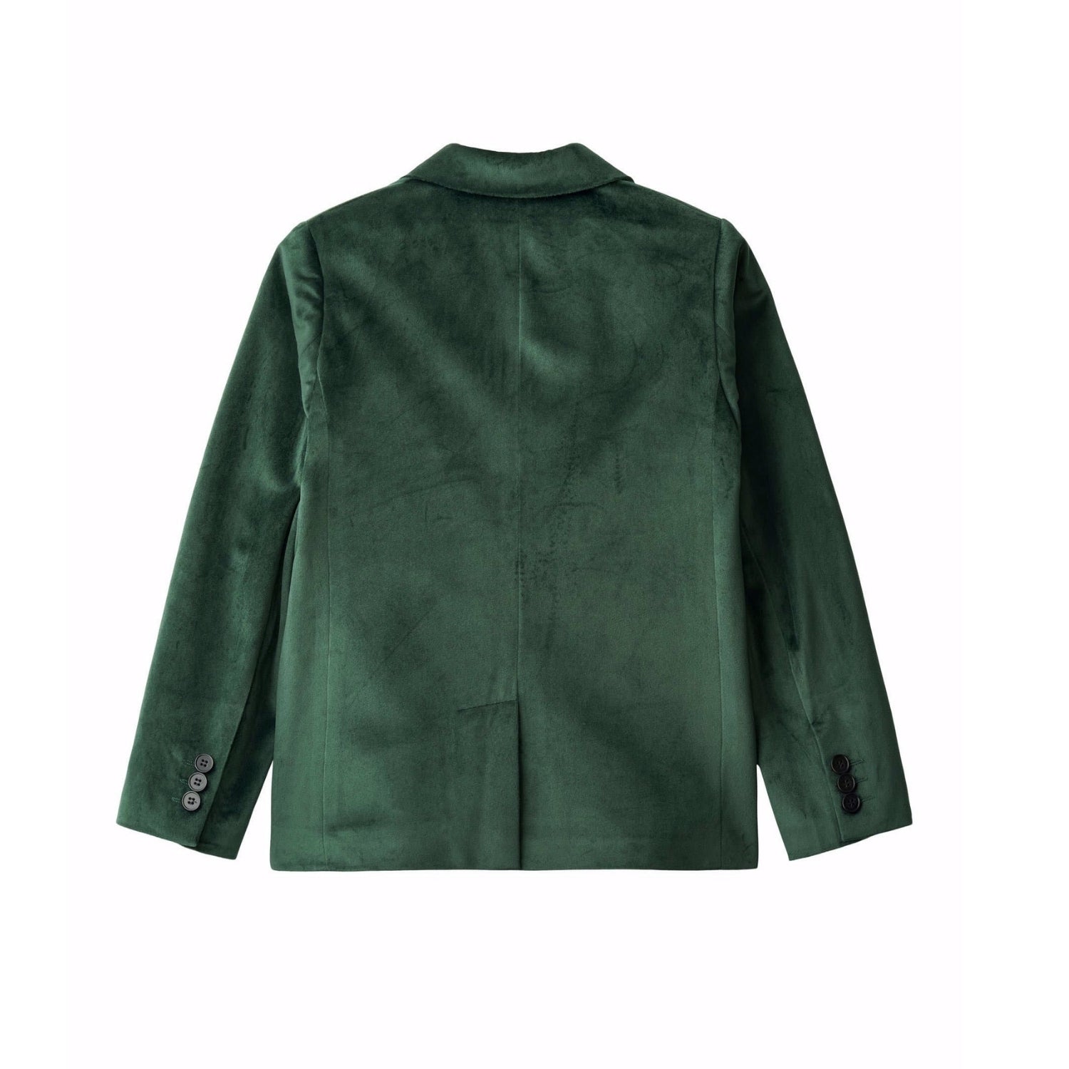 Hieronymus Blazer | Taxus