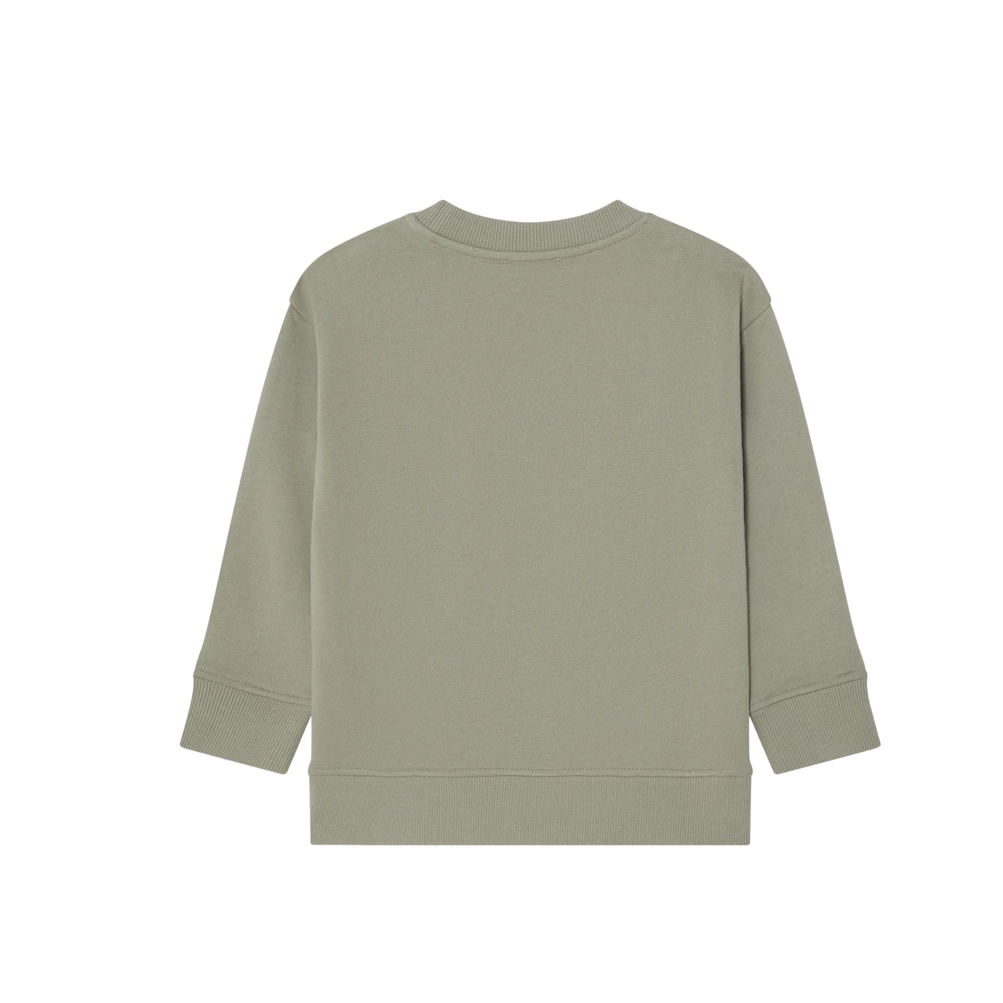 Desert Graphics Sweatshirt | Green