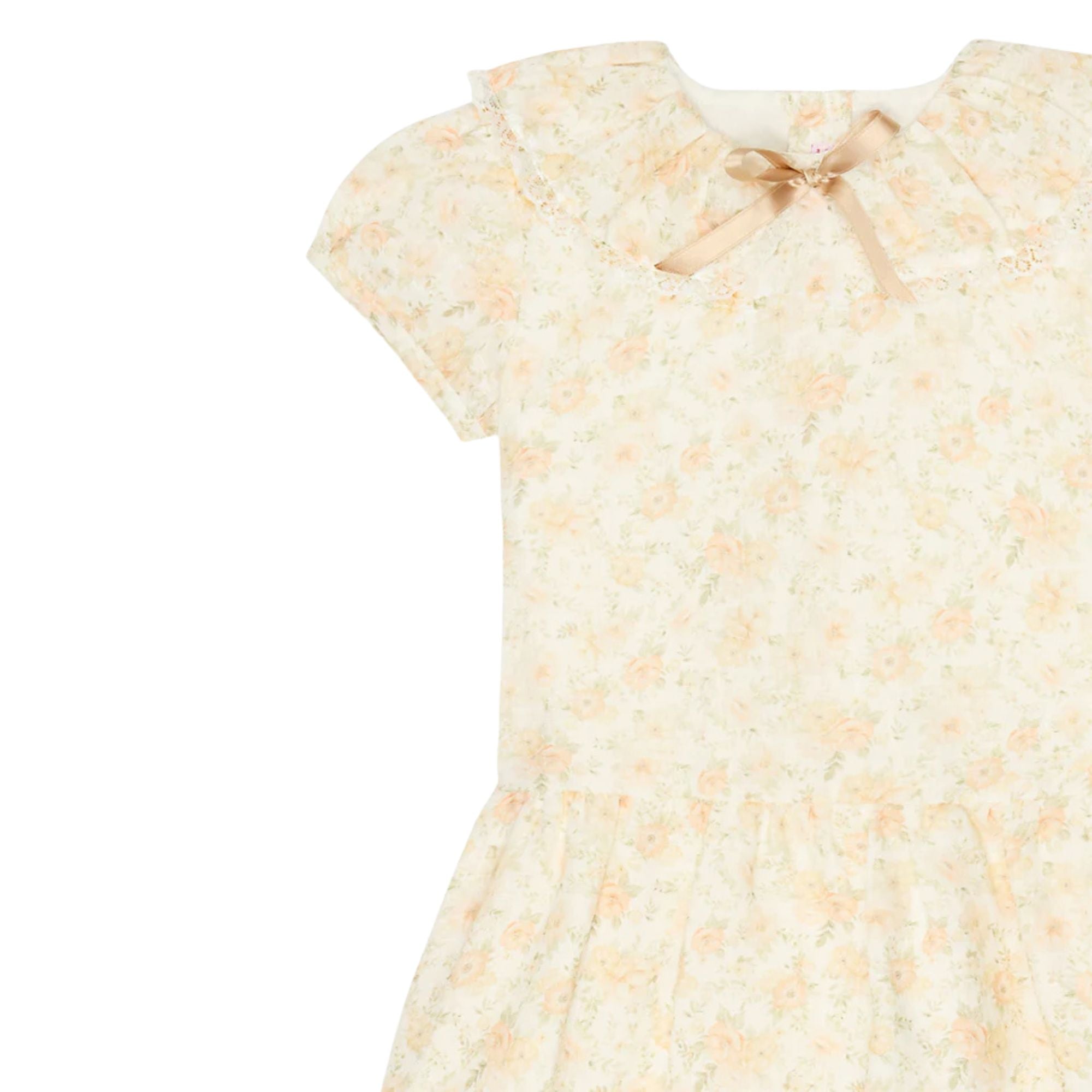 Xana Drop Waist Dress | Peach Floral