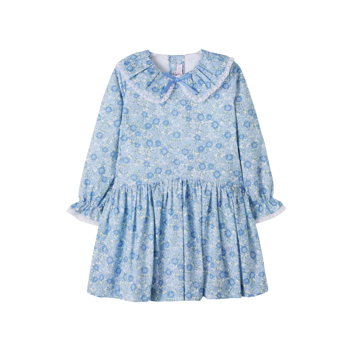 Maribela Drop Waist Dress | Blue Floral