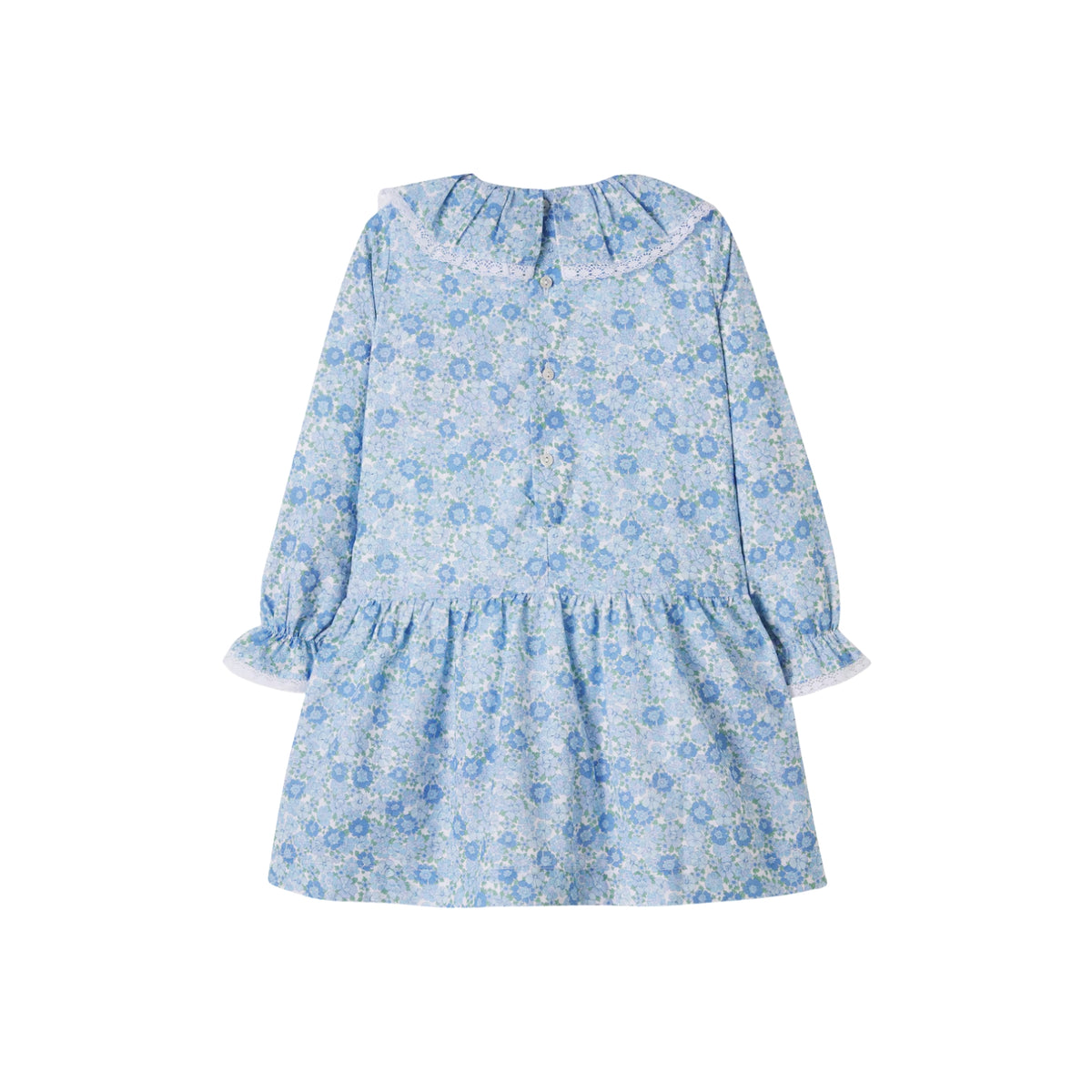 Maribela Drop Waist Dress | Blue Floral