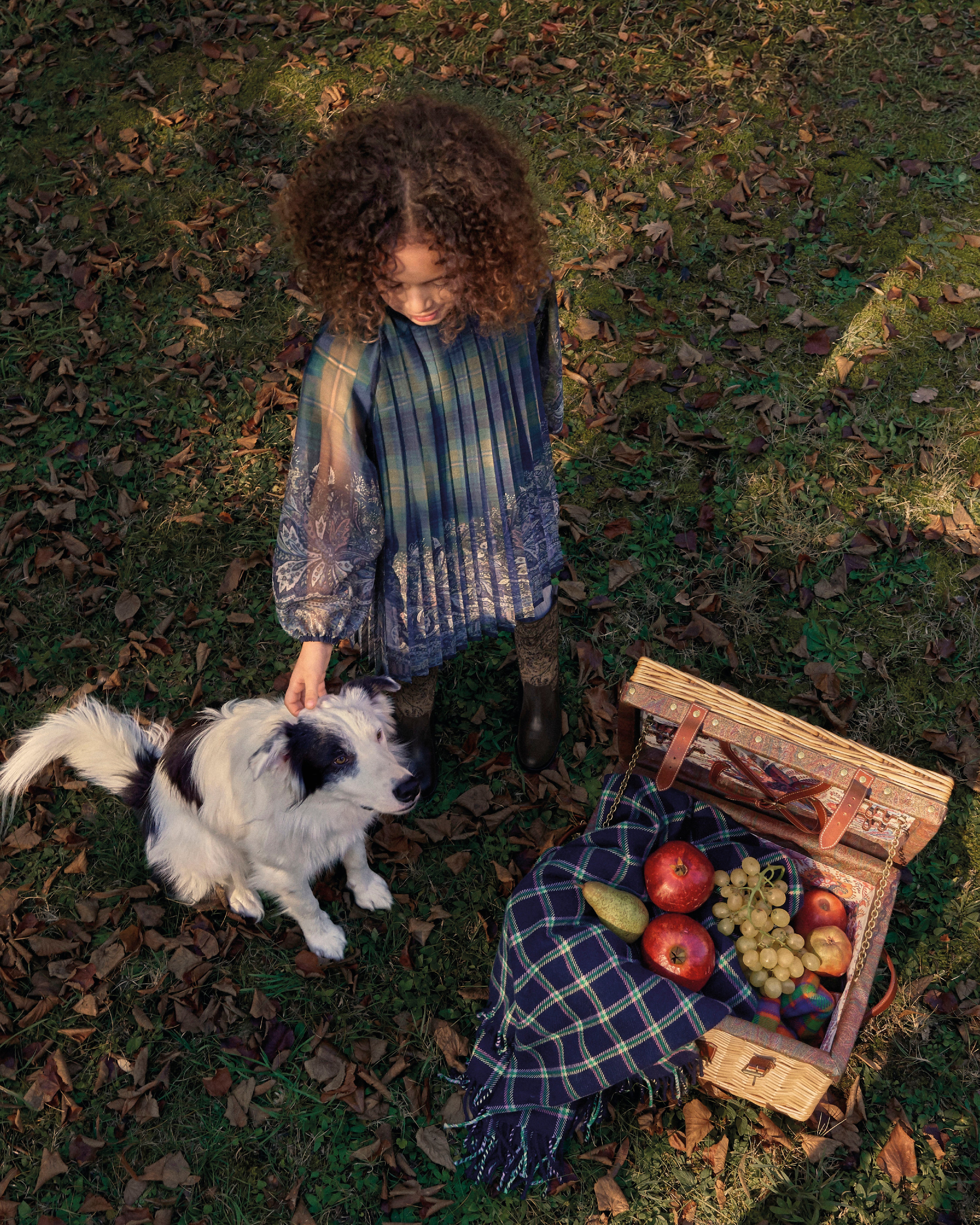 Pleated Dress in Lightweight Crepon | Verde/ Blu