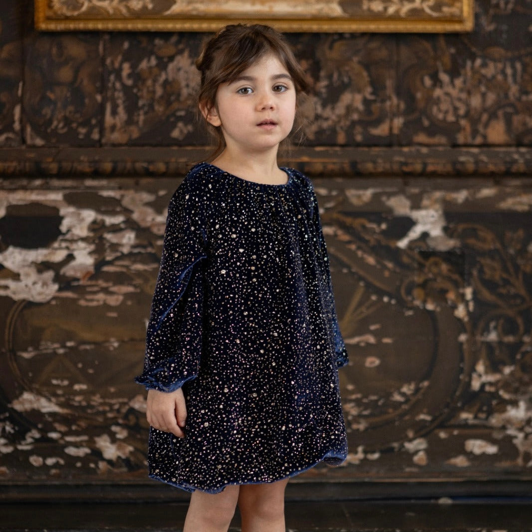 Diamante Velvet Dress | Blue