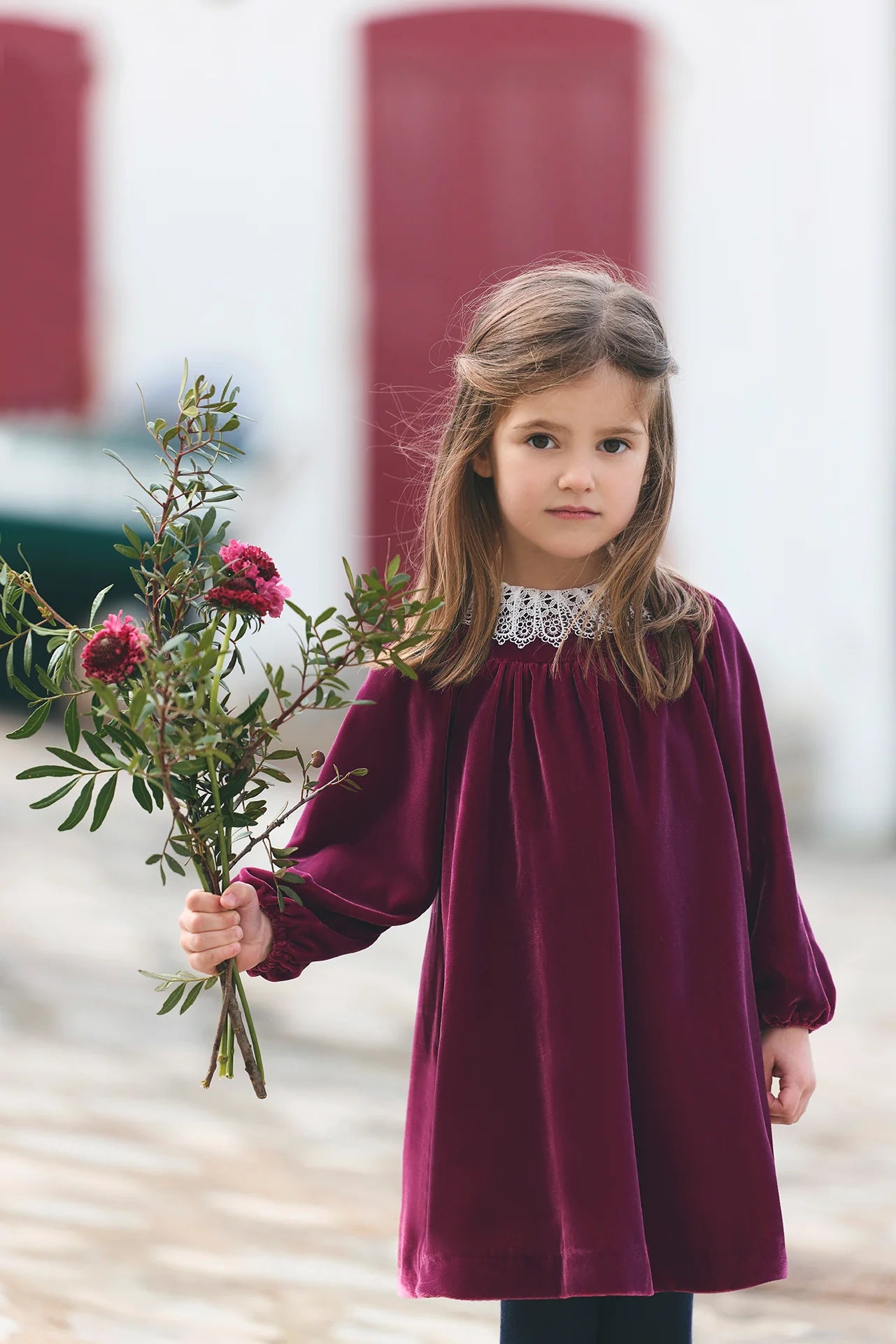 Dress | Velvet Prune