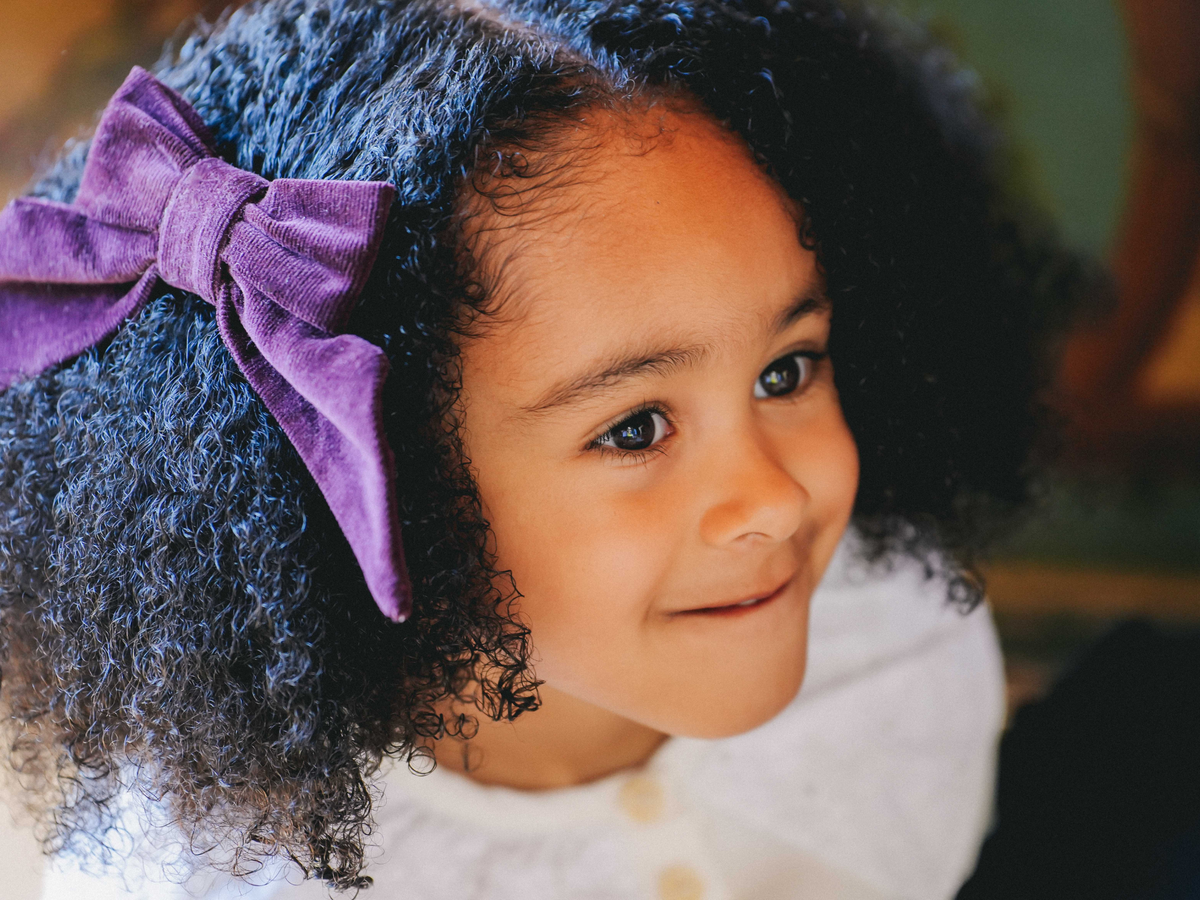 Carlotta Hair Clip | Prune Velvet