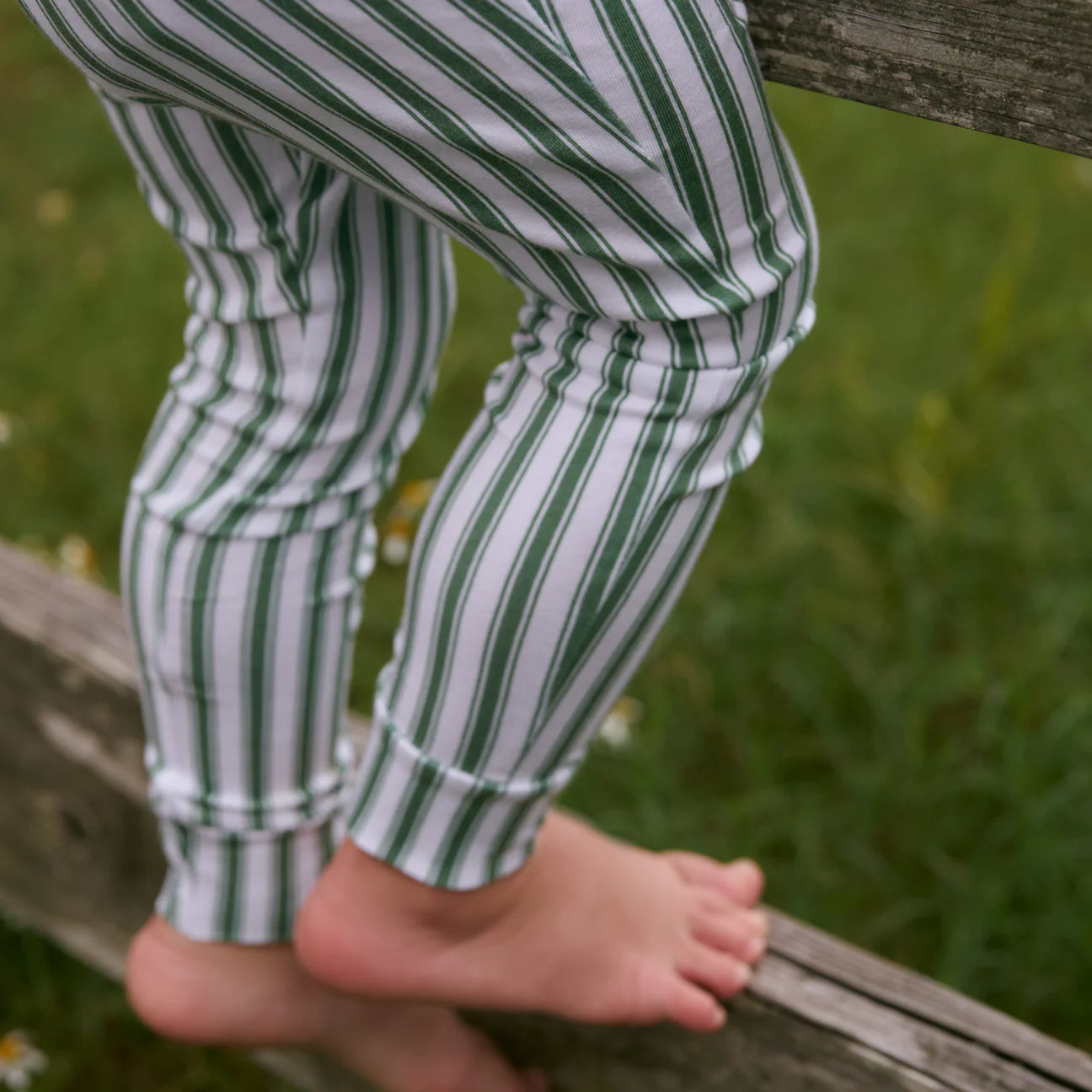 Pima Pajamas Set | Boxwood Stripe