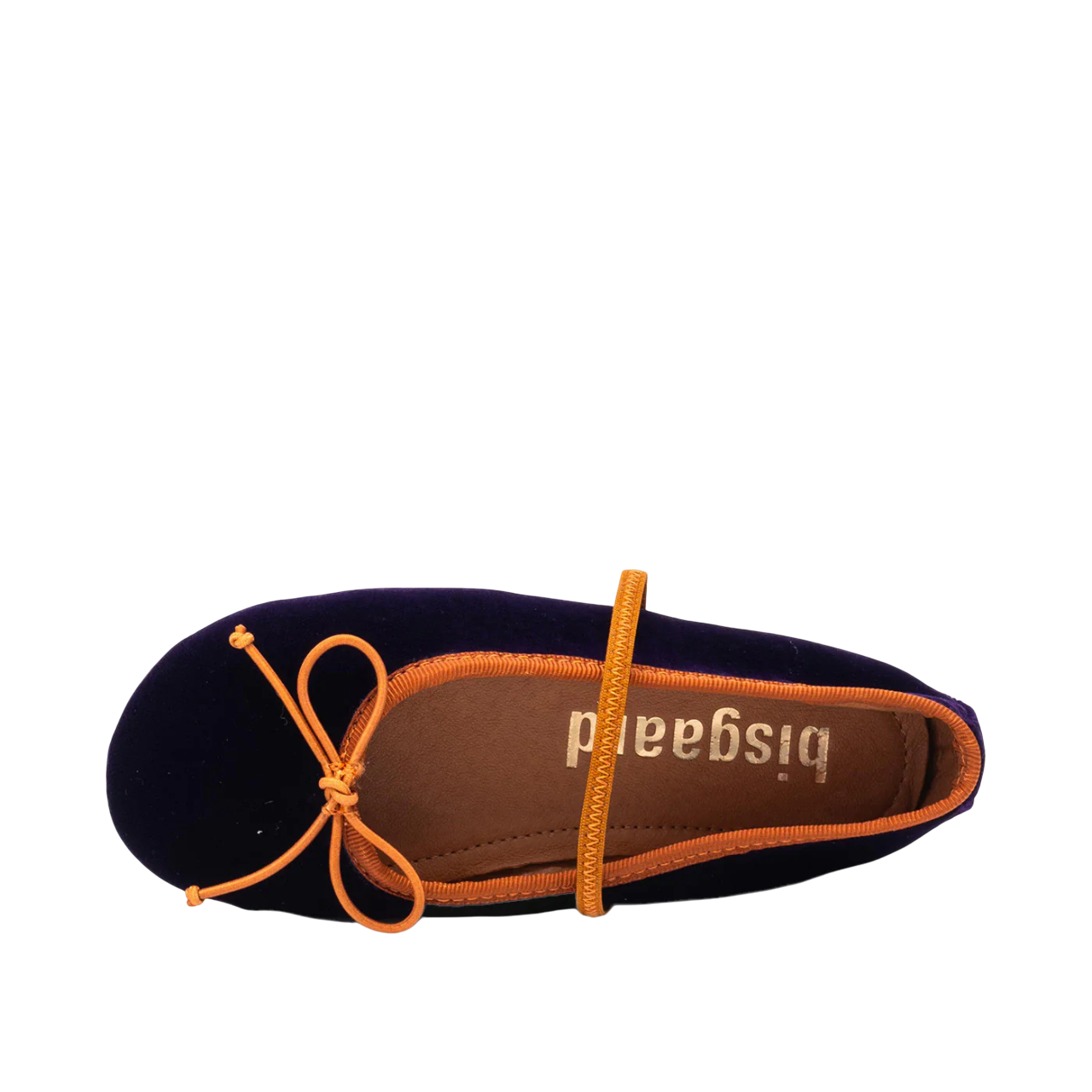 Palma Ballerina Shoes | Purple