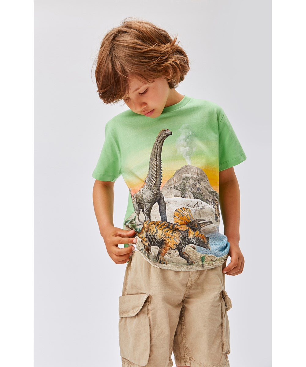 Argod Cargo Shorts | Rock