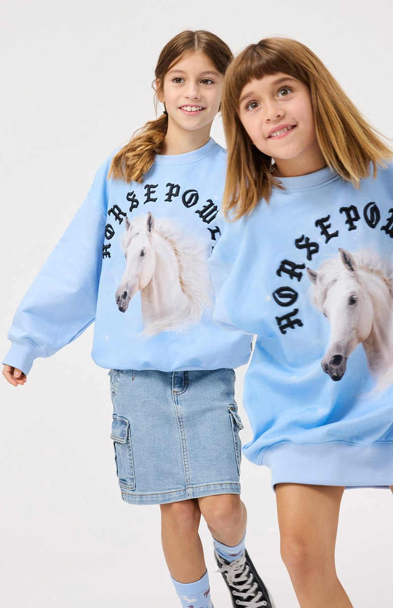 Belli Skirt | Distressed Washed