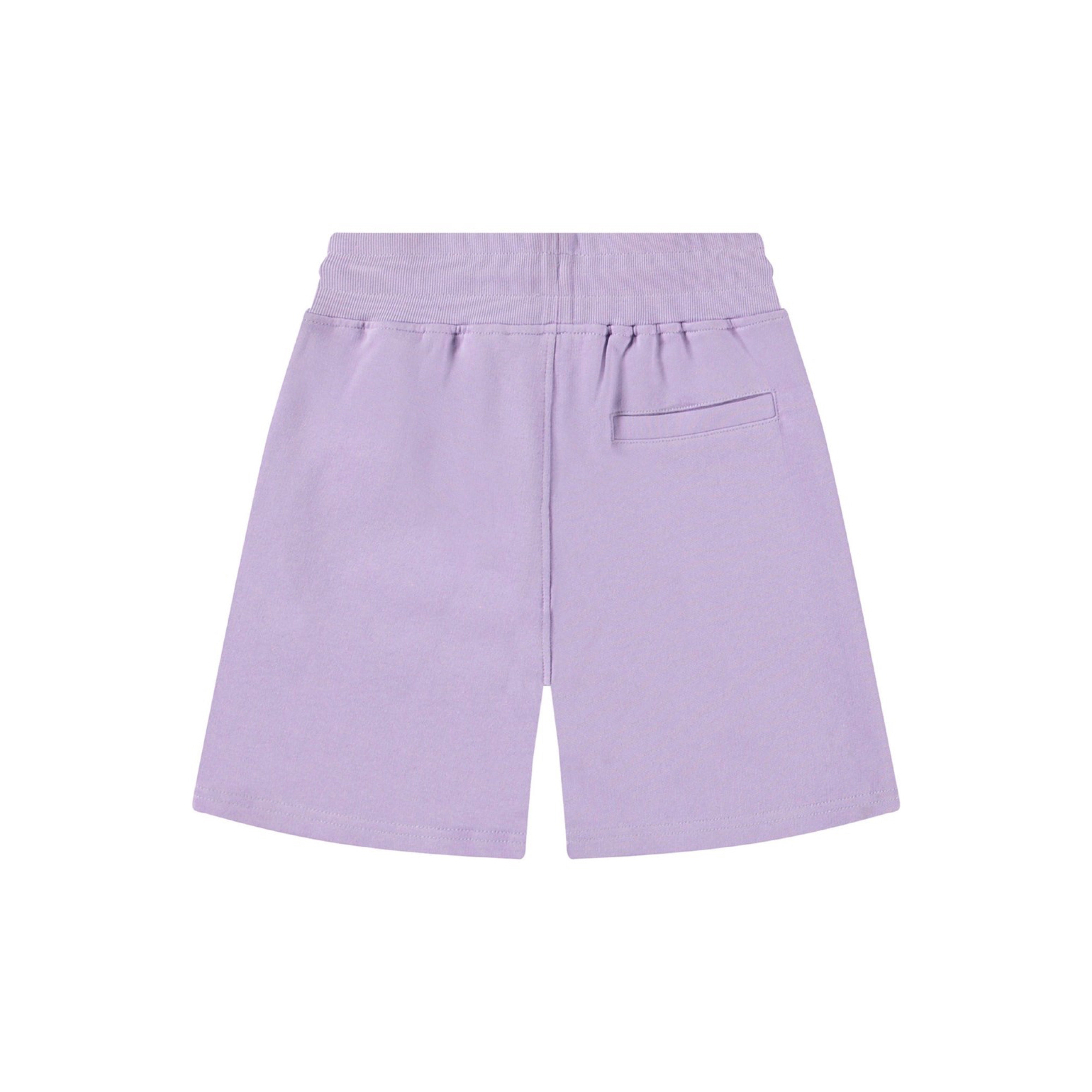 Alw Baggy Shorts | Violaceos