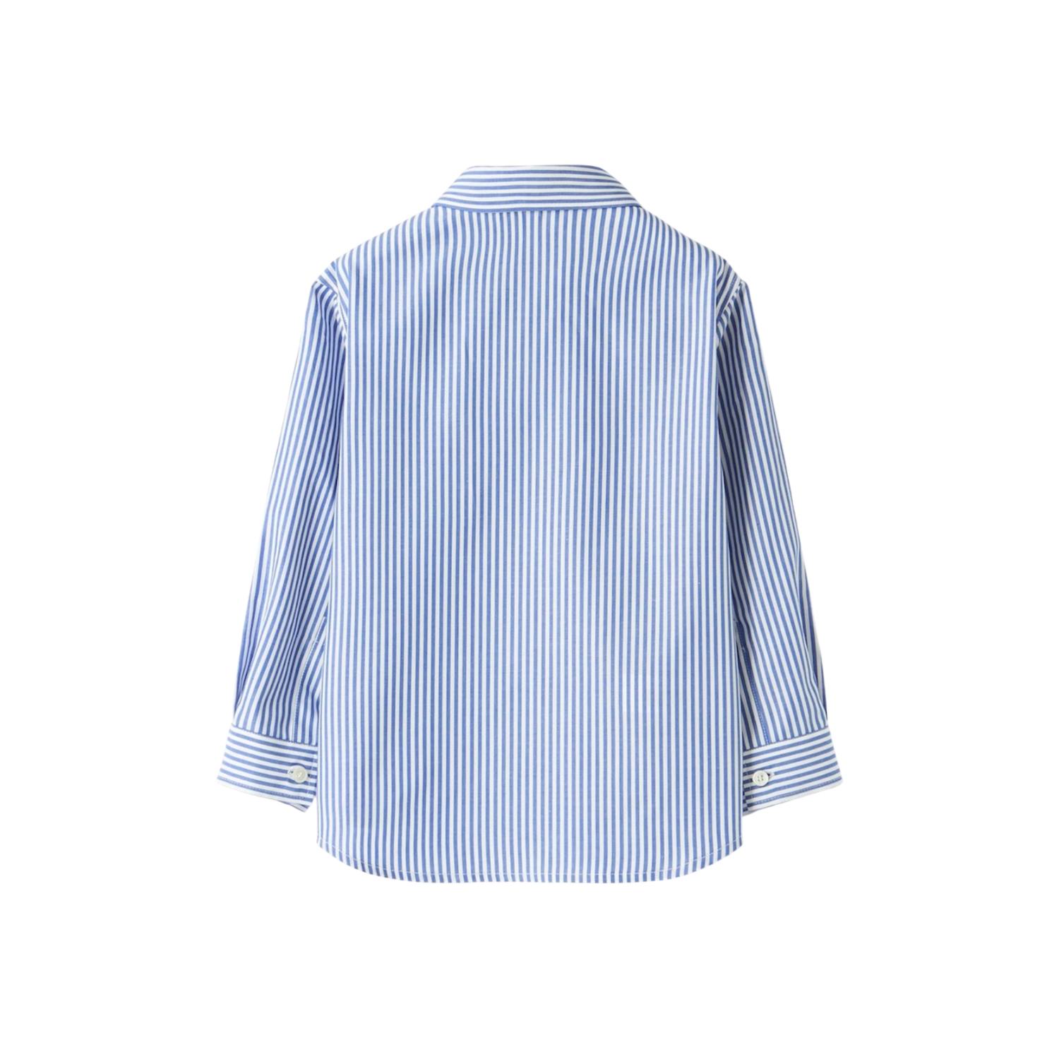Long Sleeve Striped Shirt | Light Blue