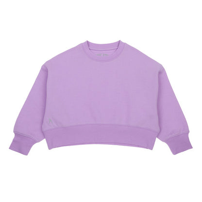 Cropped Crew Neck Jumper - Violet