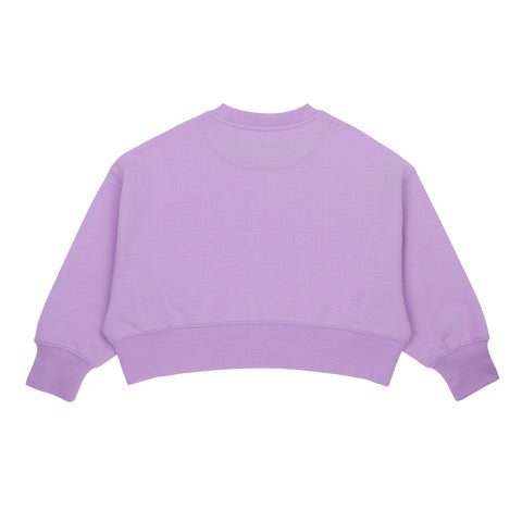 Cropped Crew Neck Jumper - Violet