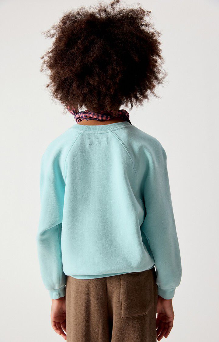 Izubird Sweatshirt | Vintage Glacier