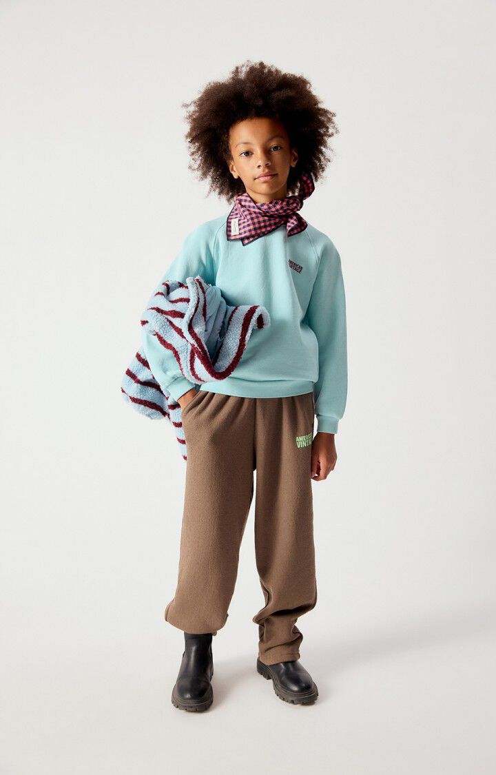 Izubird Sweatshirt | Vintage Glacier