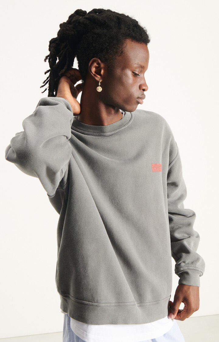 Mens Plizzy Sweatshirt | Vintage Ash