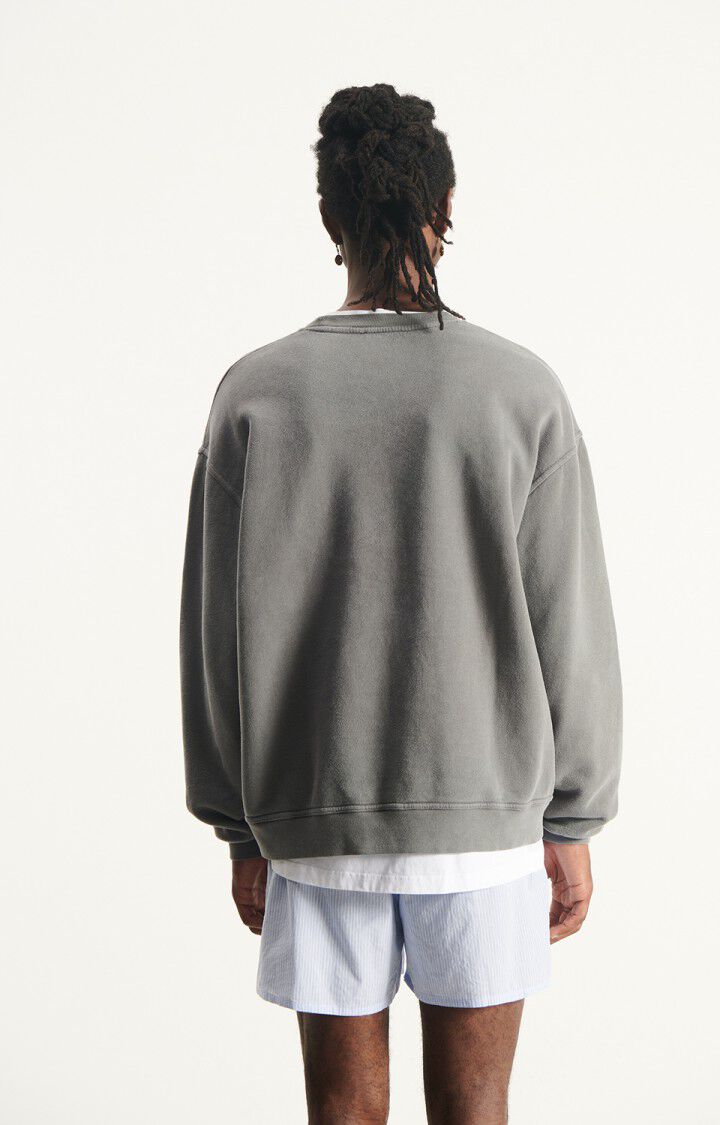 Mens Plizzy Sweatshirt | Vintage Ash