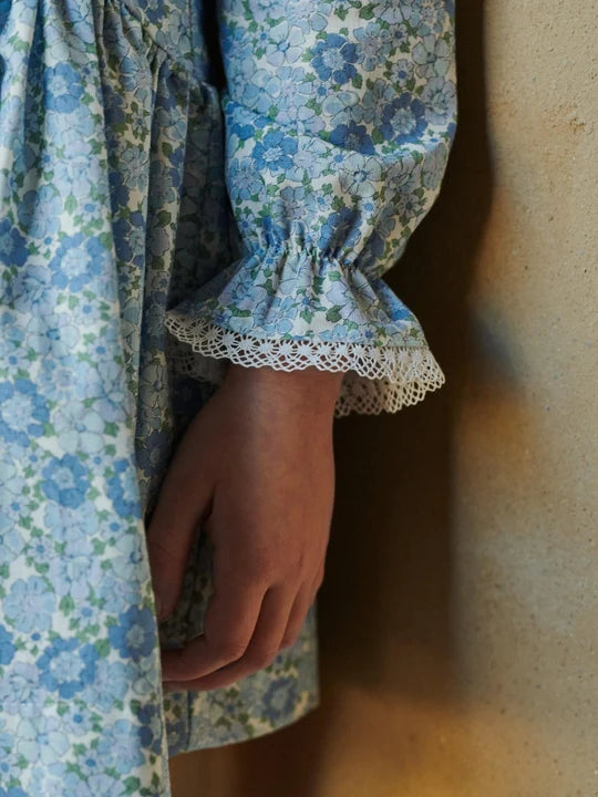 Maribela Drop Waist Dress | Blue Floral