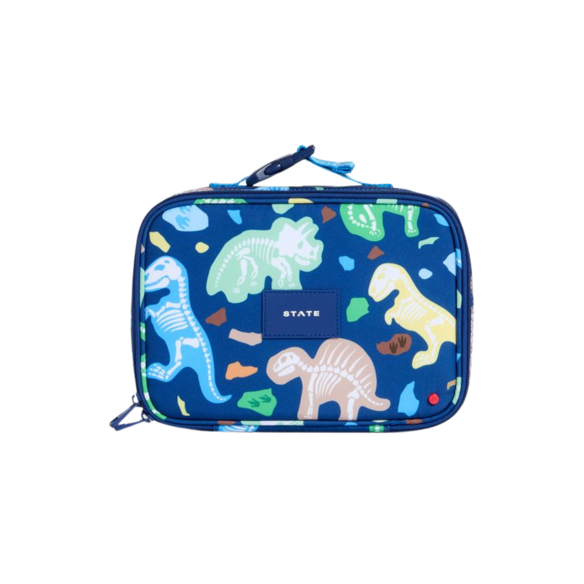 Rodgers Lunch Box | Dino Fossils