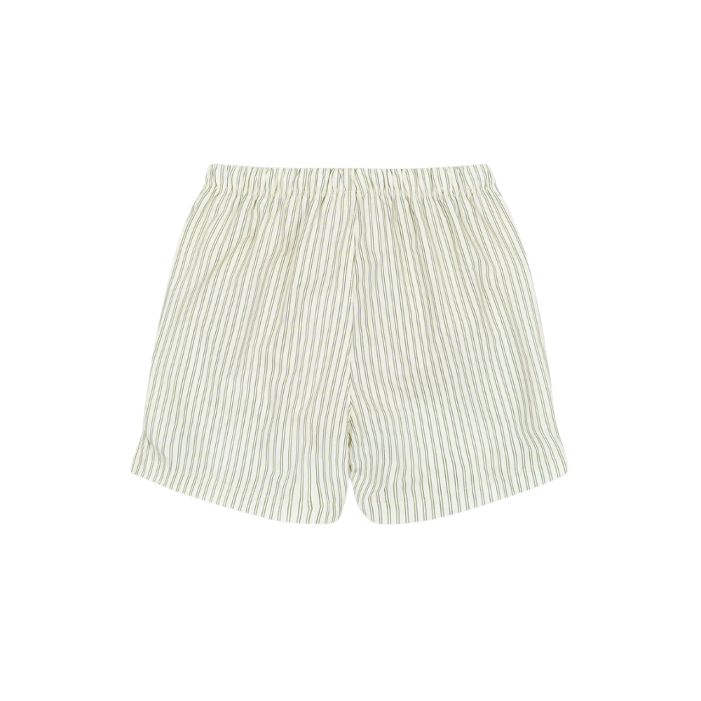 Asnou Swim Shorts | Bande Verte
